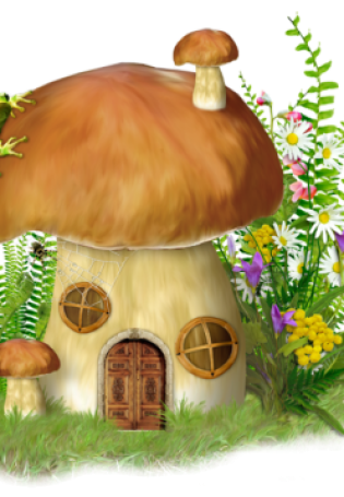 Рисунки грибов в лесу