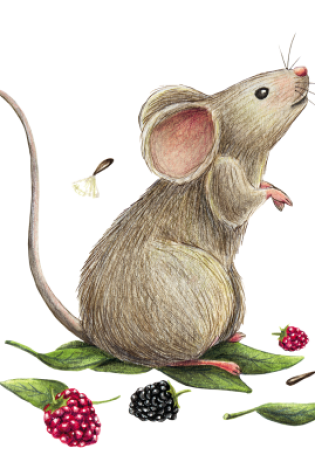 Рисунки мышек