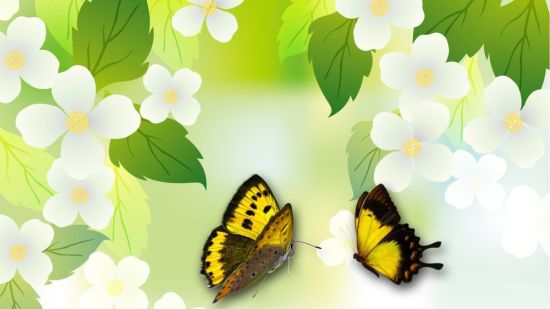 Желтый фон с бабочками