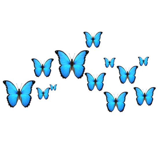 Бабочки на прозрачном фоне для фотошопа