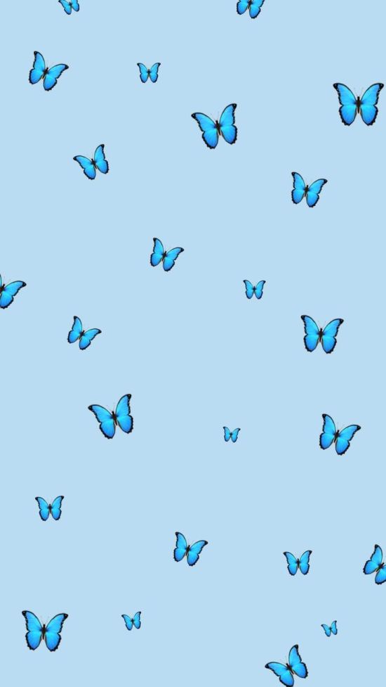 Голубые бабочки обои