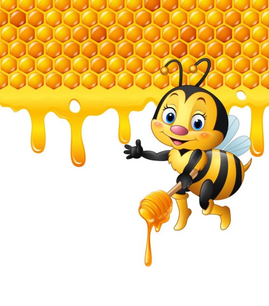 Соты с пчелкой