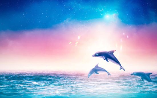 Волшебный дельфин
