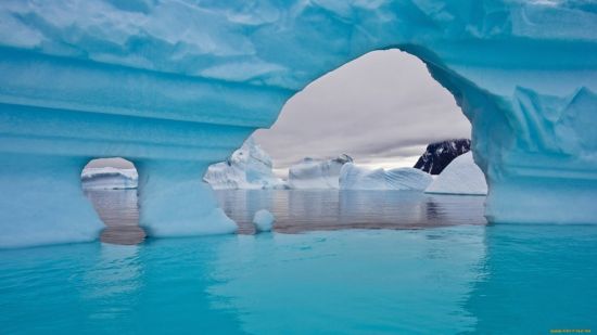 Ледники арктики