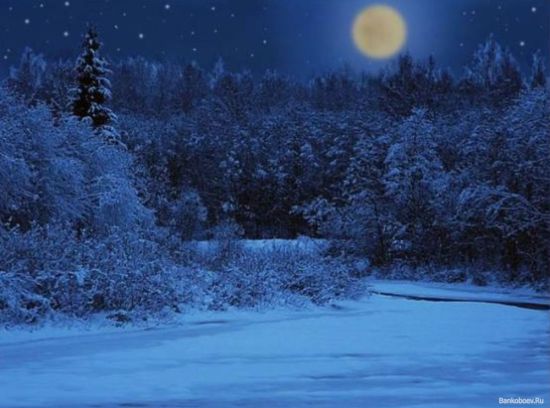 Лунная ночь зимой