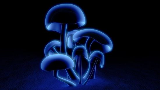Космические грибы