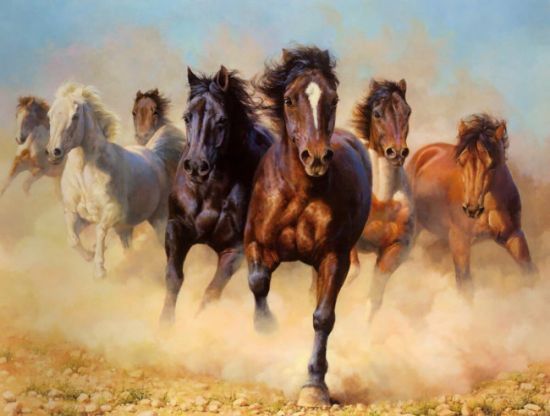 Стадо лошадей