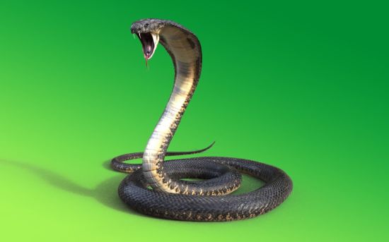 Гадсденовская змея