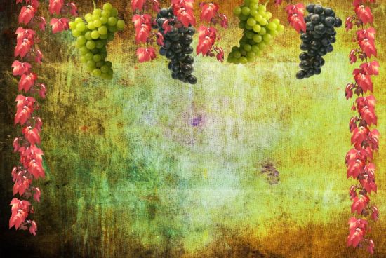 Виноград на стене