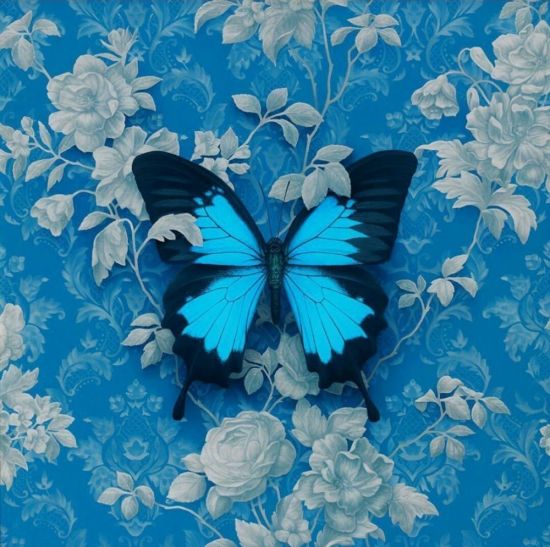 Бабочки на синем фоне обои