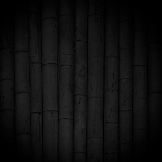 Черный бамбук