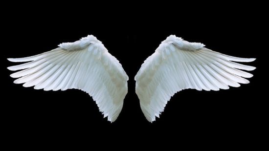 Белые крылья на черном фоне