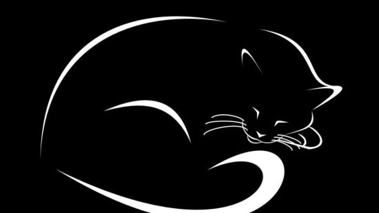 Нарисованный кот на черном фоне