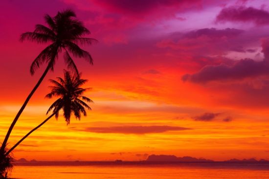 Пляж пальмы закат