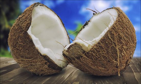 Семена кокоса