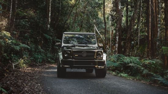 Машина в лесу