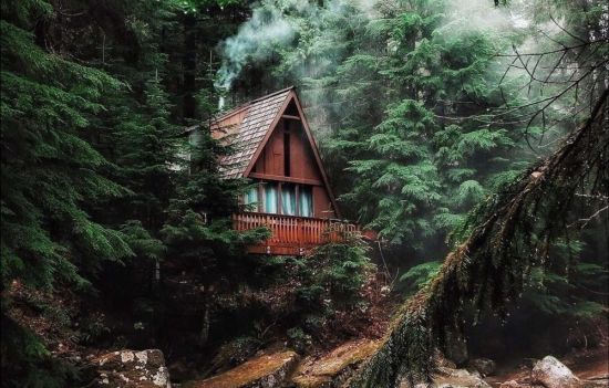 Обои дом в лесу