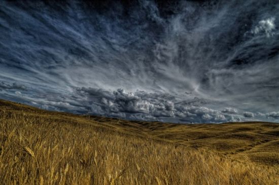 Пасмурное небо в поле