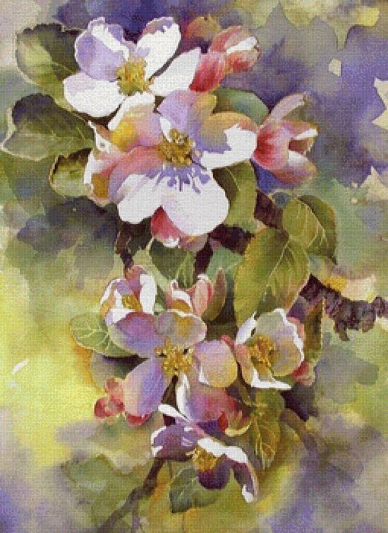 Цветы яблони акварелью