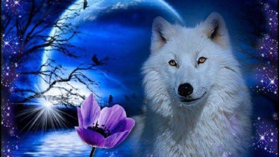 Волк с цветами