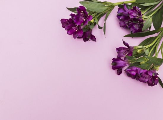 Фиолетовые цветы букет