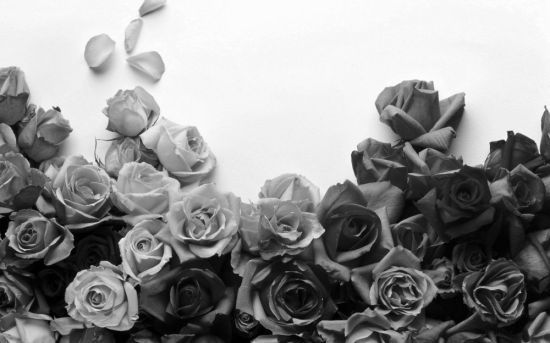 Черно белые розы