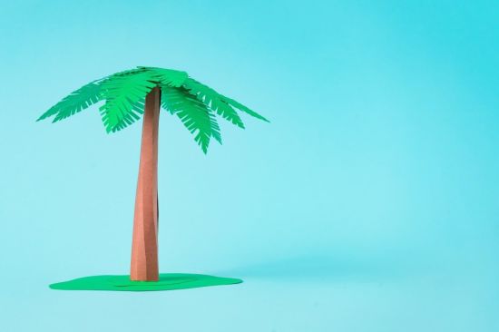 Пальма из пластилина