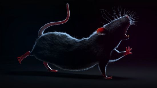 Мышь в малине