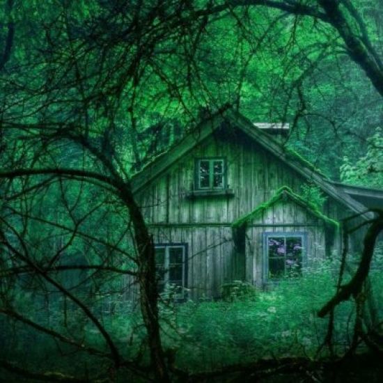 Страшный дом в лесу