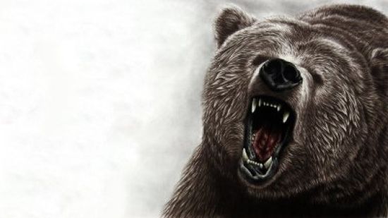 Картинки для презентации медведь