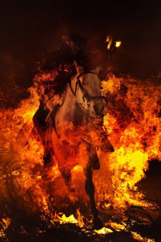Лошадь в огне