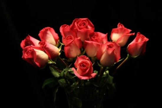 Букет роз на темном фоне