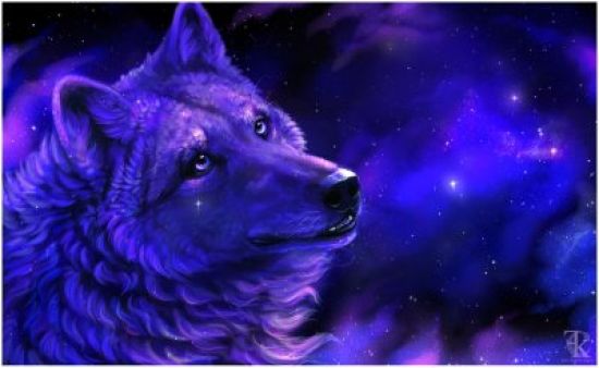 Картинки синего волка