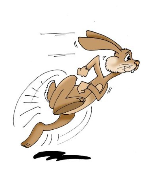 Картинки бегущего зайца