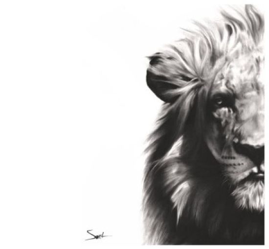 Лев черно белый рисунок