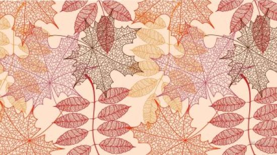 Рисунок осенних листьев