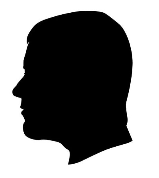 Рисунок профиль лица