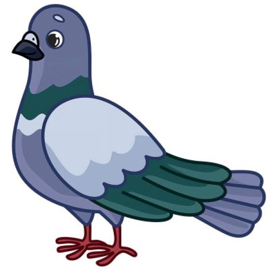 Рисунок голубь