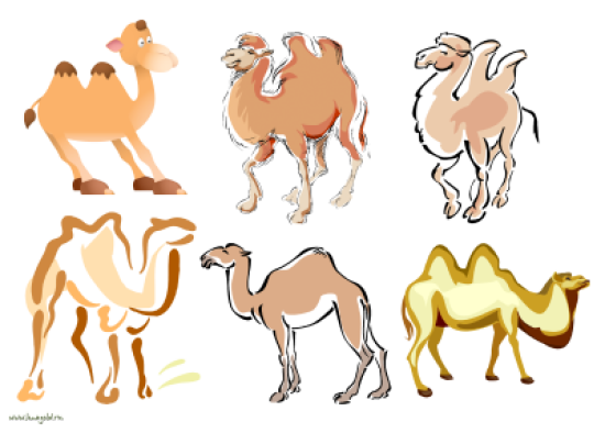 Нарисованный верблюд