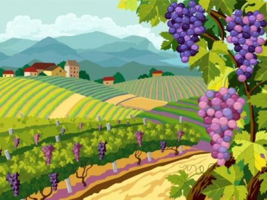 Нарисованный виноград