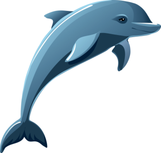 Рисунки дельфинов