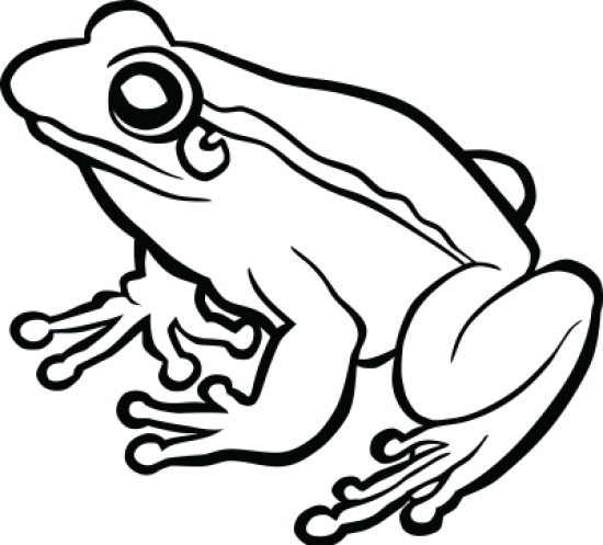Рисунок жаба
