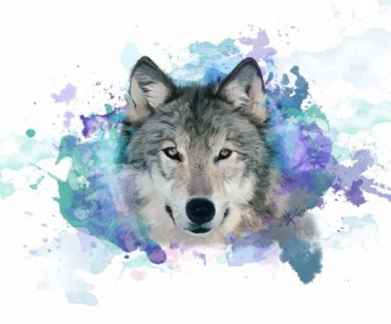 Рисунки волка