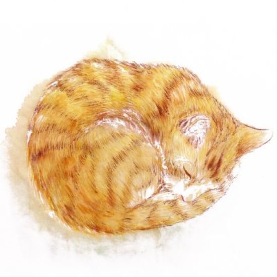 Рисунки лежащих котов