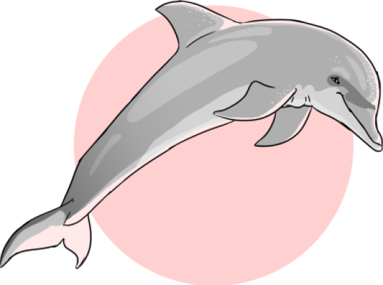 Нарисованный дельфин
