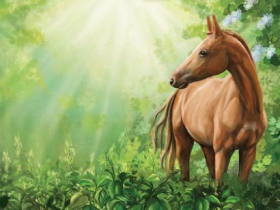 Рисунки коня