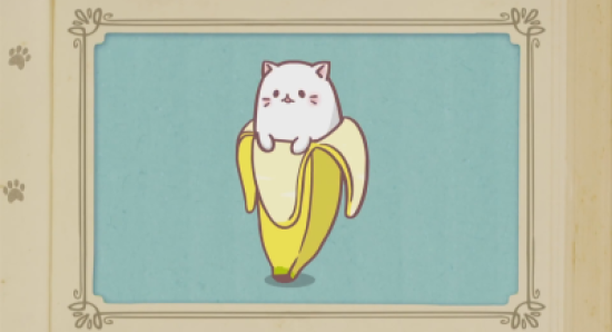 Кот банан обои