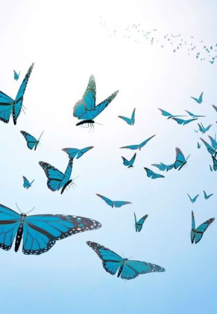 Голубой фон с бабочками