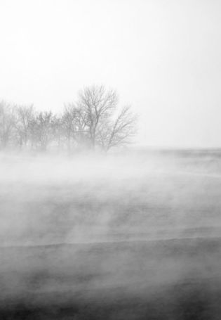 Густой туман