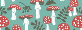 Полезные грибы
